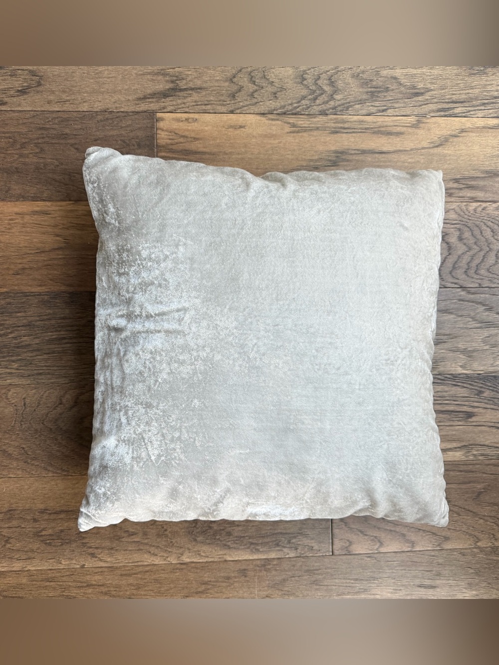 West Elm Lush Velvet Pillow in Platinum